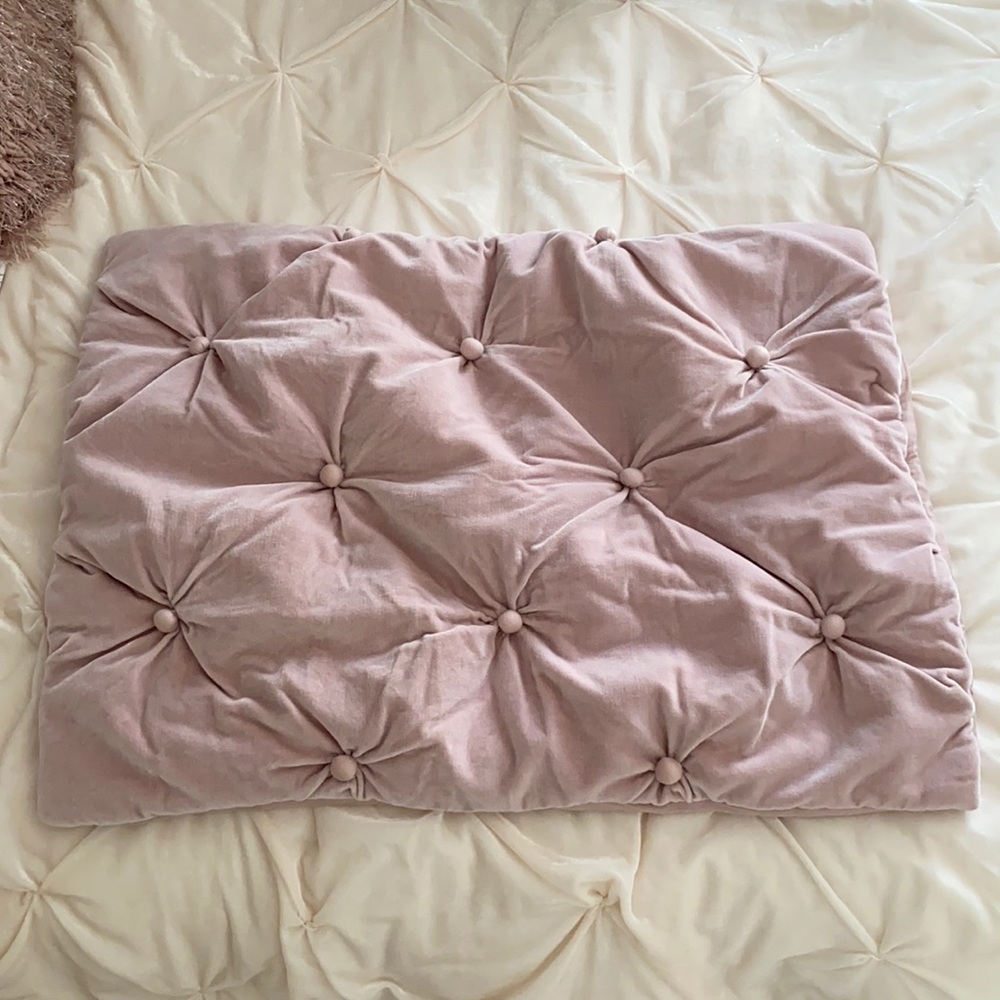 RH restoration hardware teen pillow case Say standard